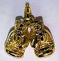 Golden Gloves USA.jpg