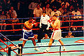 Golota-dixon.jpg