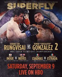 File:GonzalezvsWangekfightposter.jpg