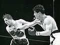 Graham-Giardello.jpg