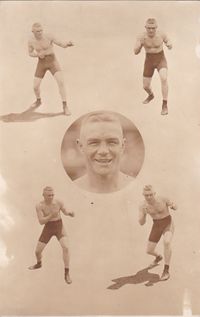 File:Grayber Collage.JPG