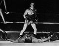 Graziano-Greco.jpg