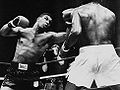 GreenMitch-defense-vs-tyson.jpg