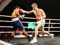 File:Gribsholt v Cervantes7.JPG