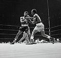 Griffith-Tiger I U1514793.jpg