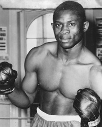 File:Guinea Roger.jpg