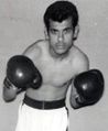 Thumbnail for version as of 10:30, 24 January 2021