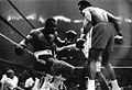 HEAVYWEIGHT BOXING.jpg