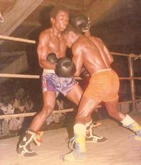 File:H Kimanga photosa.jpg