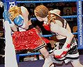 Thumbnail for version as of 21:40, 14 January 2012
