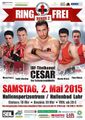 Thumbnail for version as of 10:20, 25 April 2015