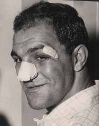 File:Hampshire Rocky.JPG