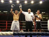 File:Hargesheimer vs. Janjanin.jpg