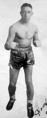 File:Harold Brown.jpg