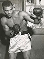Harold Johnson pshof 0001.jpg