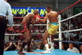 Hearns-Barkley II 72519319.jpg