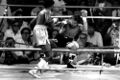 Hearns-Duran 1984.jpg