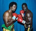Hearns-Shuler U85261044A.jpg