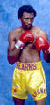 Hearns 11.jpg
