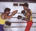 Hearns Steward 453822539.jpg