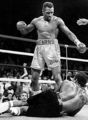 Hearns andries.jpg