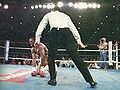Hearns down against Barkley.jpg