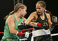 Thumbnail for version as of 20:16, 20 January 2012