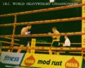 Heavyweight Title bout.jpg