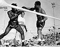 Henry Armstrong vs Willie Joyce.jpg