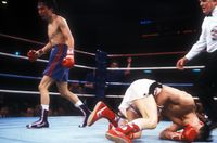 File:Hideyuki Ohashi vs. Jum-Hwan Choi.jpg