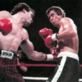 Hilton-Callahan 1987.jpg