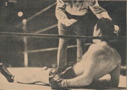 Hogan-Brescia.jpg