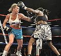 Holly Holm vs. Chevelle Hallback.jpg
