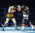 Holmes-Cobb 4757384.jpg