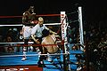 Holmes-Cooney U820890.jpg