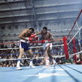 Holmes-Norton 81424982.jpg