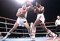 Holmes-cooney4.jpg