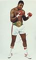 Holmes WBC Champ.JPG