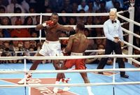 File:Holyfield-Douglas 1785289.jpg