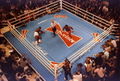 Holyfield-Douglas 1787946.jpg