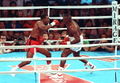 Holyfield-Douglas 222617.jpg