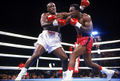 Holyfield-Douglas 53af0a72a24e4.jpeg
