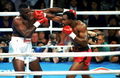 Holyfield-Douglas 72306151.jpg