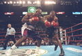 Holyfield-Tyson II 1400043.jpg