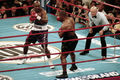 Holyfield-Tyson II 561 1s13.jpg
