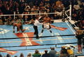 Holyfield Moorer II 242115.jpg