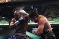 Holyfield Ruiz III 507851.jpg