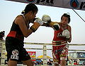Thumbnail for version as of 03:26, 28 December 2011