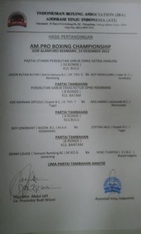File:IBA 122014.jpg