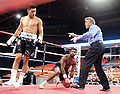 IL-boxer-Hollywood.jpg